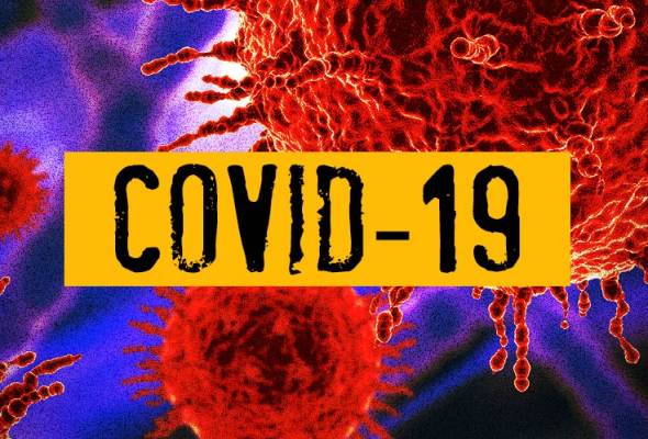 81581600429_Covid 81581600429_Covid