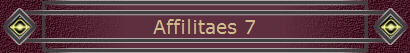 Affilitaes 7