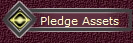 Pledge Assets