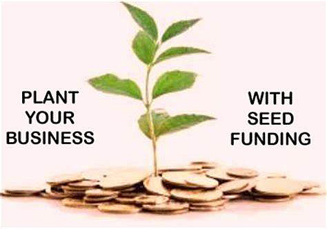 seedfunds